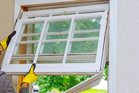 Window Replacement in Punta Gorda, FL